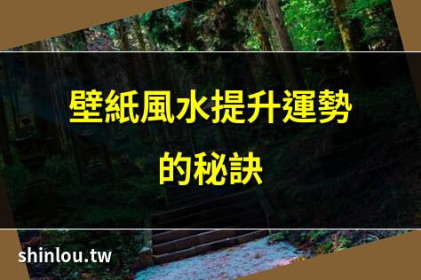 壁紙風水提升運勢的秘訣 | 運氣翻倍!牆紙風水色彩指南 | 2025年最新牆紙風水佈局 | 東南西北方位牆紙風水要訣