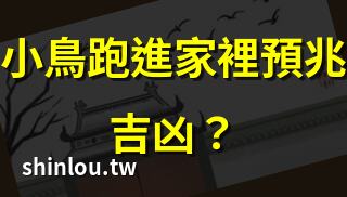 小鳥跑進家裡預兆吉凶? | 家裡飛來小鳥有何寓意? | 小鳥入宅的風水解析 | 家中飛鳥的吉凶預兆