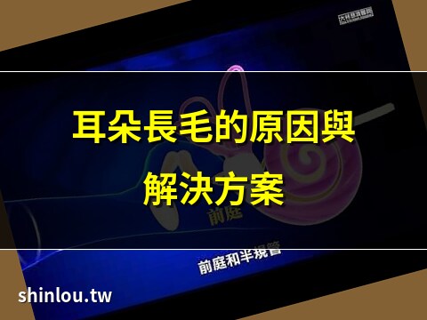 耳朵長毛的人