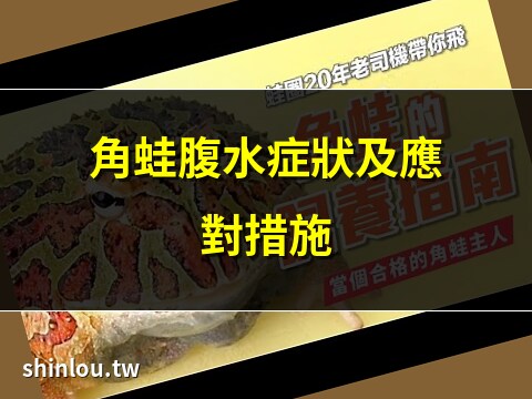 角蛙腹水