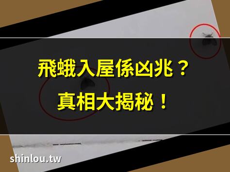 飛蛾入屋係凶兆?真相大揭秘! | 家中飛蛾預示兩大驚人預兆 | 飛蛾撲火典故與現代寓意 | 2025飛蛾入屋玄機解析