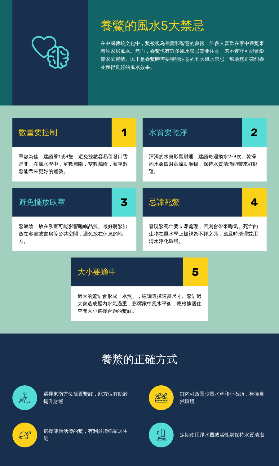 養鱉風水5大禁忌！別亂養破財 | 家裡養鱉竟能招財？風水師解密 | 陽台養鱉風水擺放秘訣